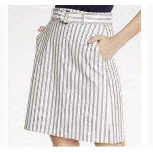 Ann Taylor Skirt